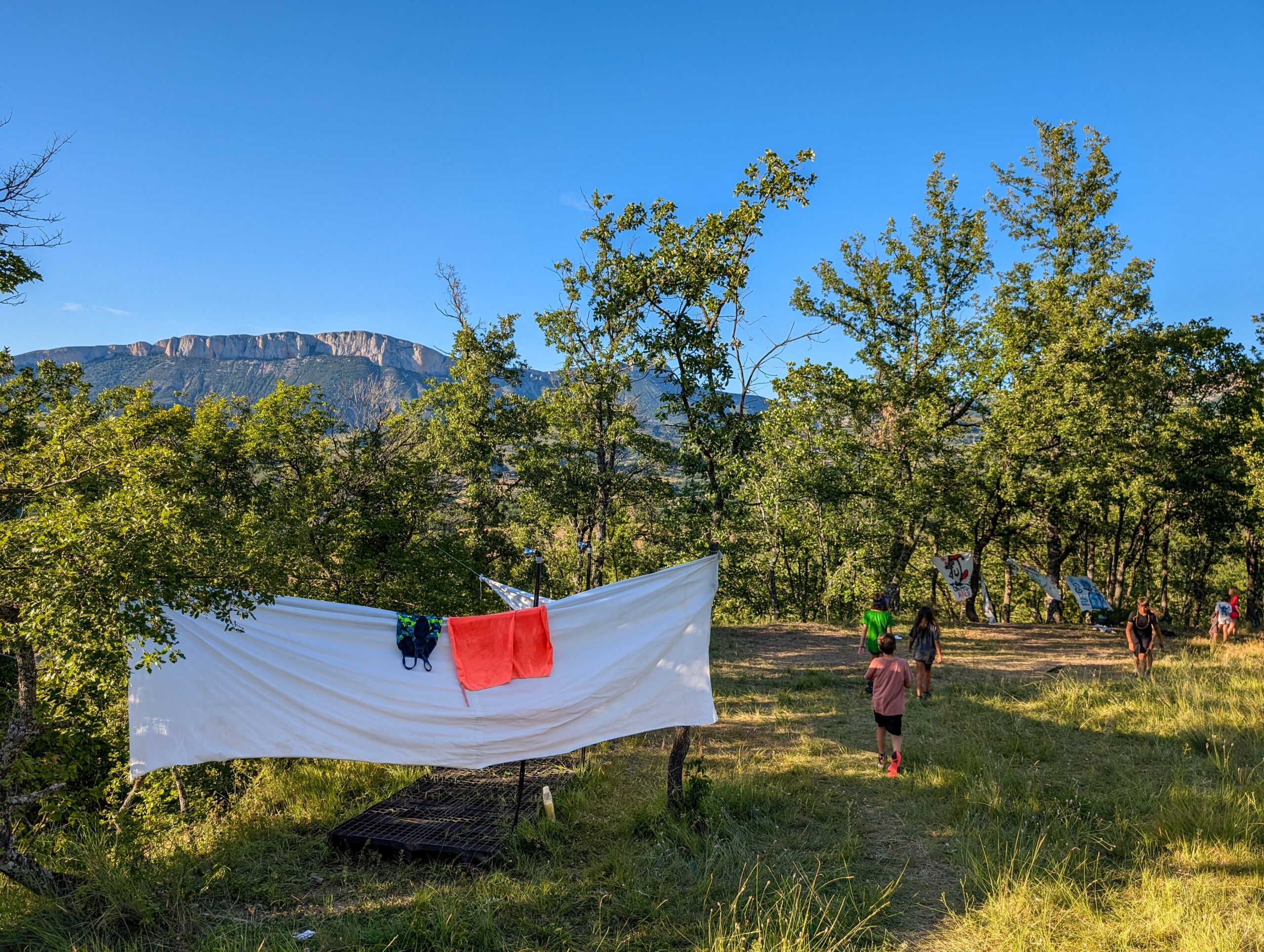 Grup d'infants i joves acampats al terreny Els Boigons, a Sapeira.